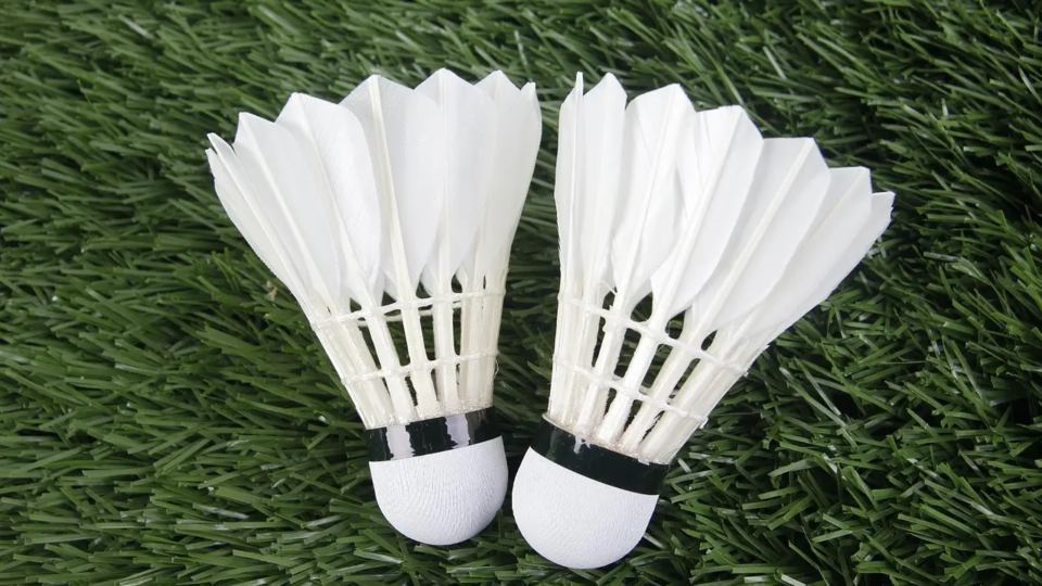 Kan jeg købe fjerbolde i en større mængde og spare penge?